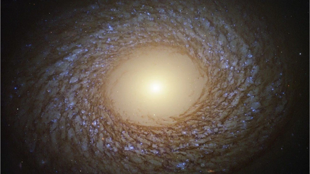 NASA findet 