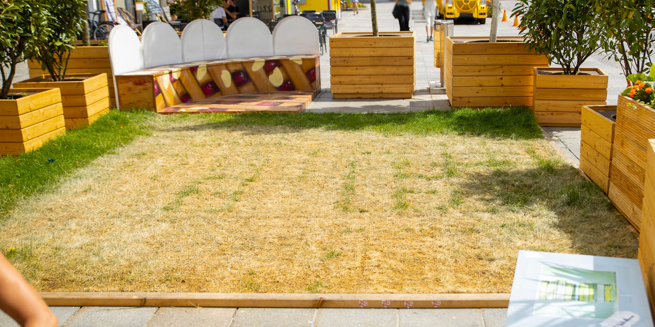 Rasen verbrannt! "Grüne Oase" nur noch gelb - Oberösterreich | heute.at