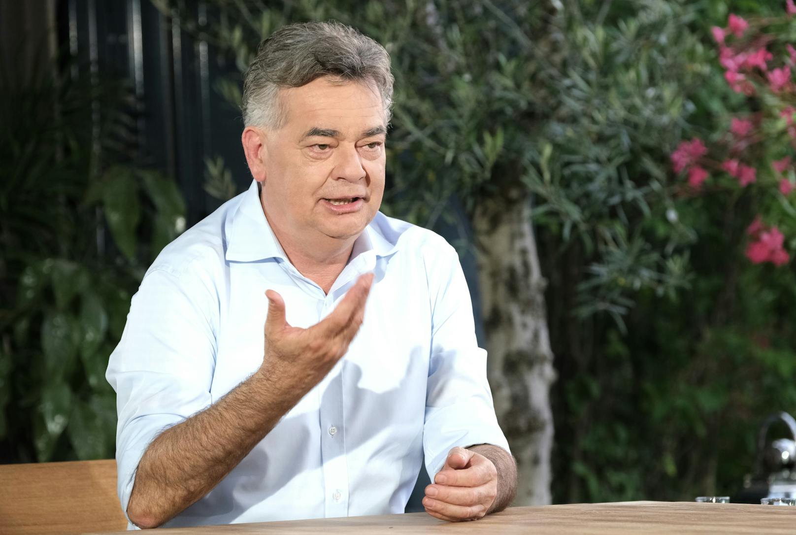 Werner Kogler im ORF-Sommergespräch