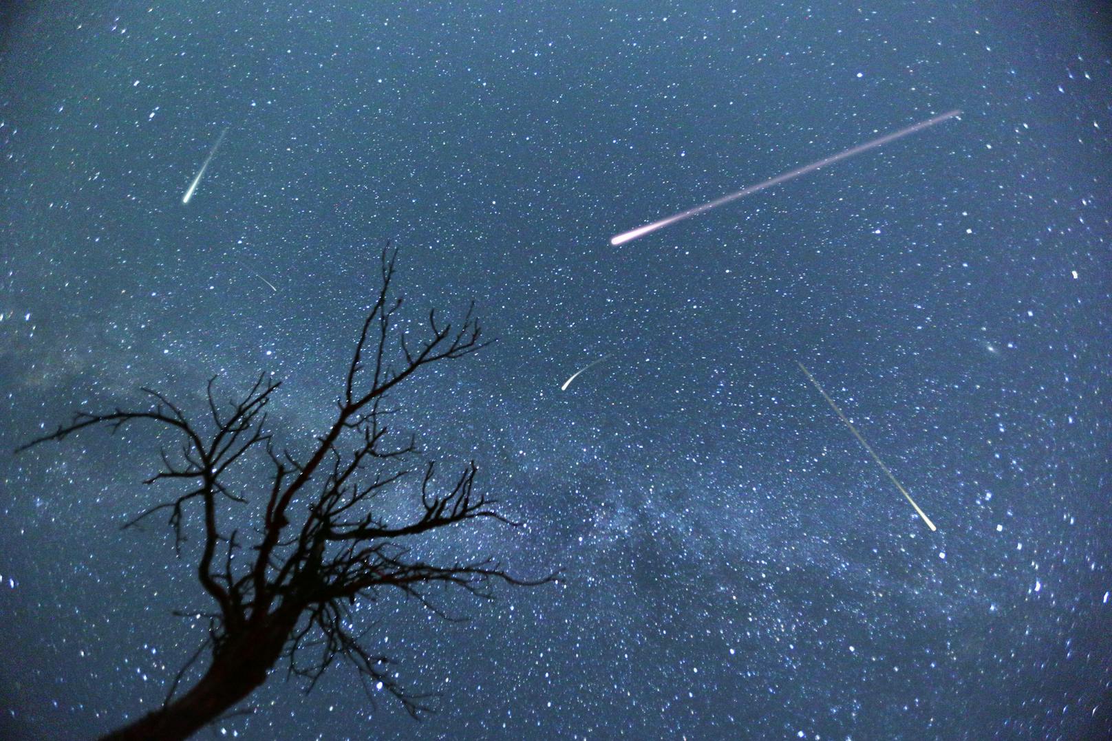 Unter optimalen Unständen können zum Höhepunkt des Meteorstroms bis zu 100 Sternschnuppen pro Stunde beobachtet werden.<br>