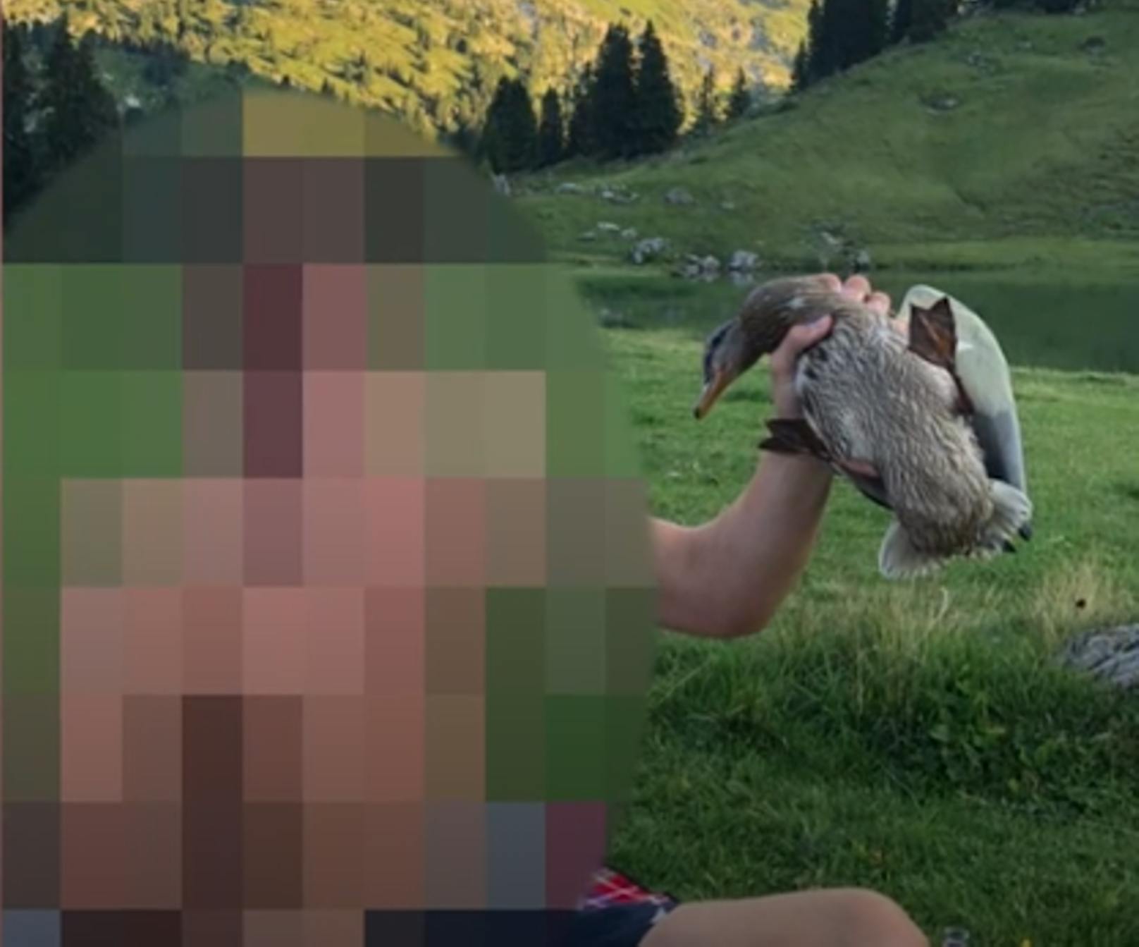 Ein Video auf Social Media zeigt, wie eine Gruppe Jugendlicher eine Ente und einen Fisch respektlos behandeln.