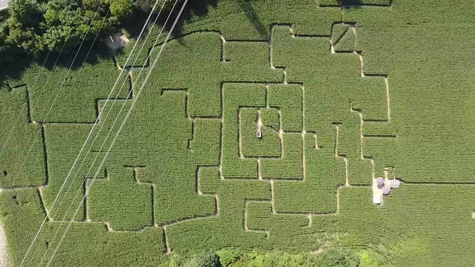 Das Labyrinth ist größer als drei Fußballfelder.