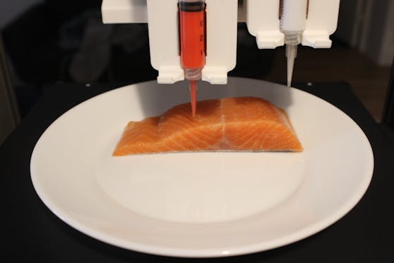 Der Legendary Vish soll nicht nur aussehen wie Lachs, sondern auch so schmecken.