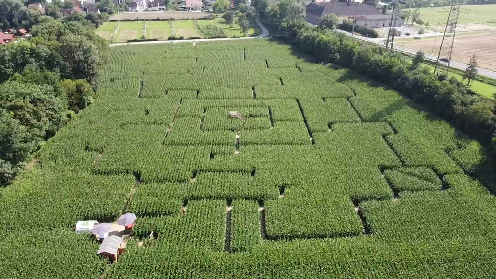 Das Mega-Maislabyrinth ist 25.000 Quadratmeter groß.
