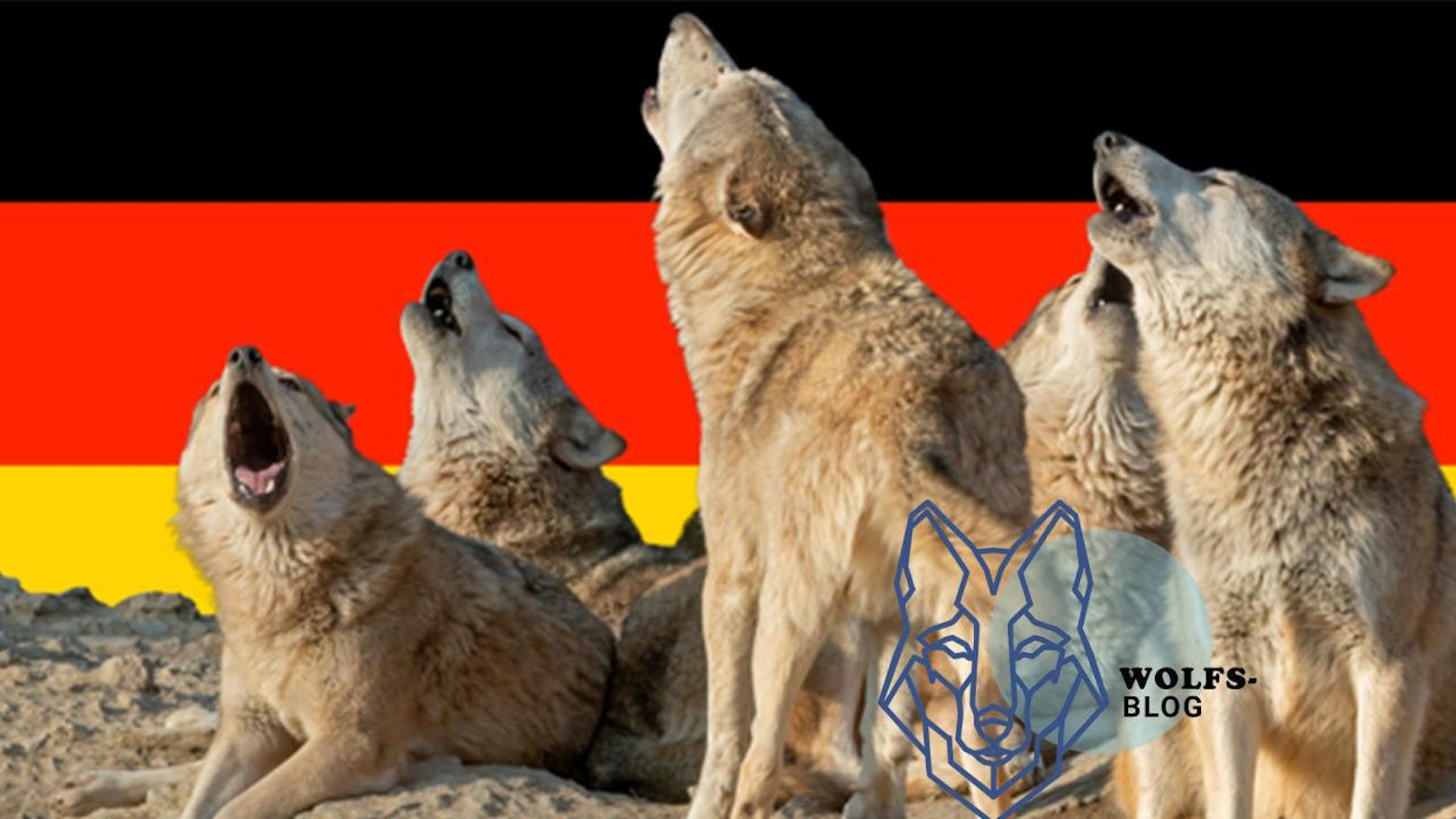 „Willkommen, Wolf!" – Ein Blick nach Deutschland