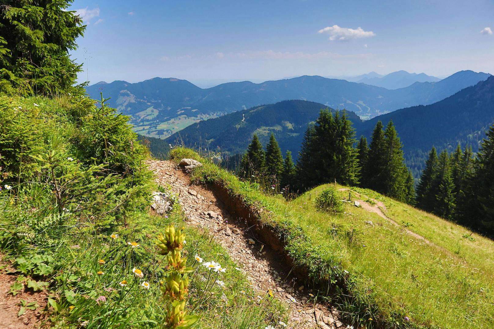 Ein Wanderweg am Pürschling in den oberbayrischen Alpen bei Oberammergau