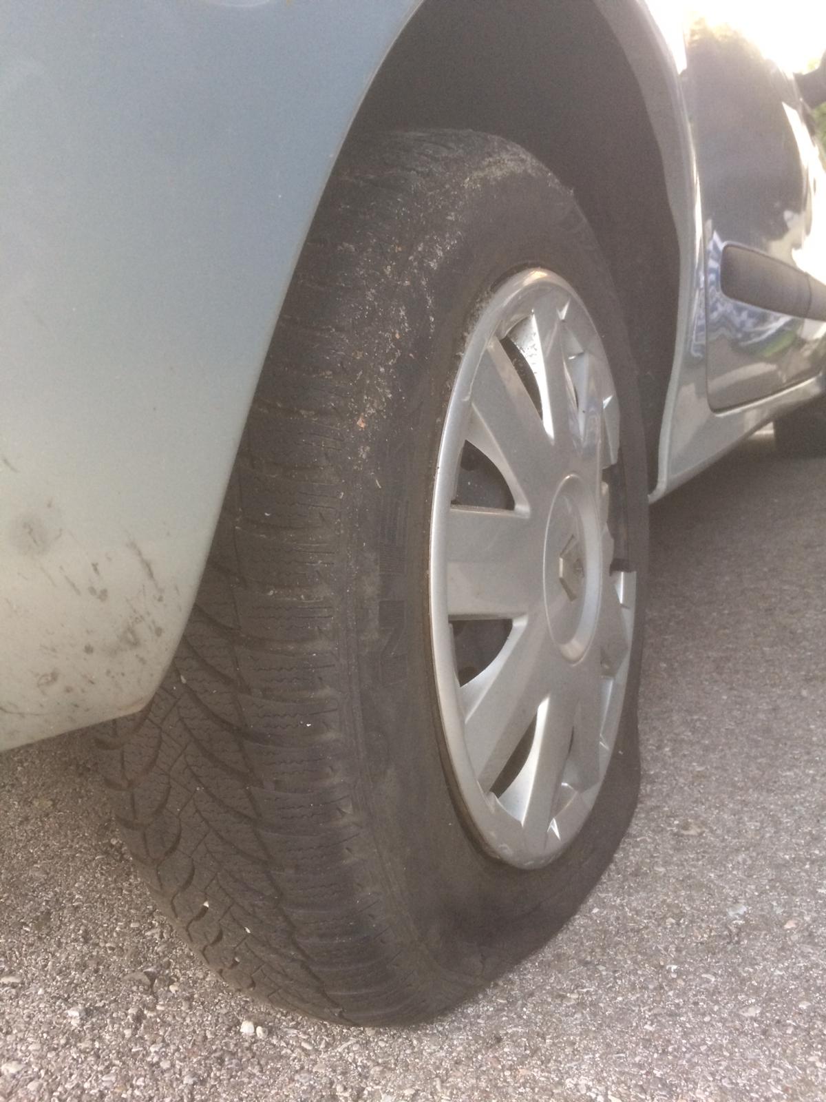 Fotos zeigen den Patschen.