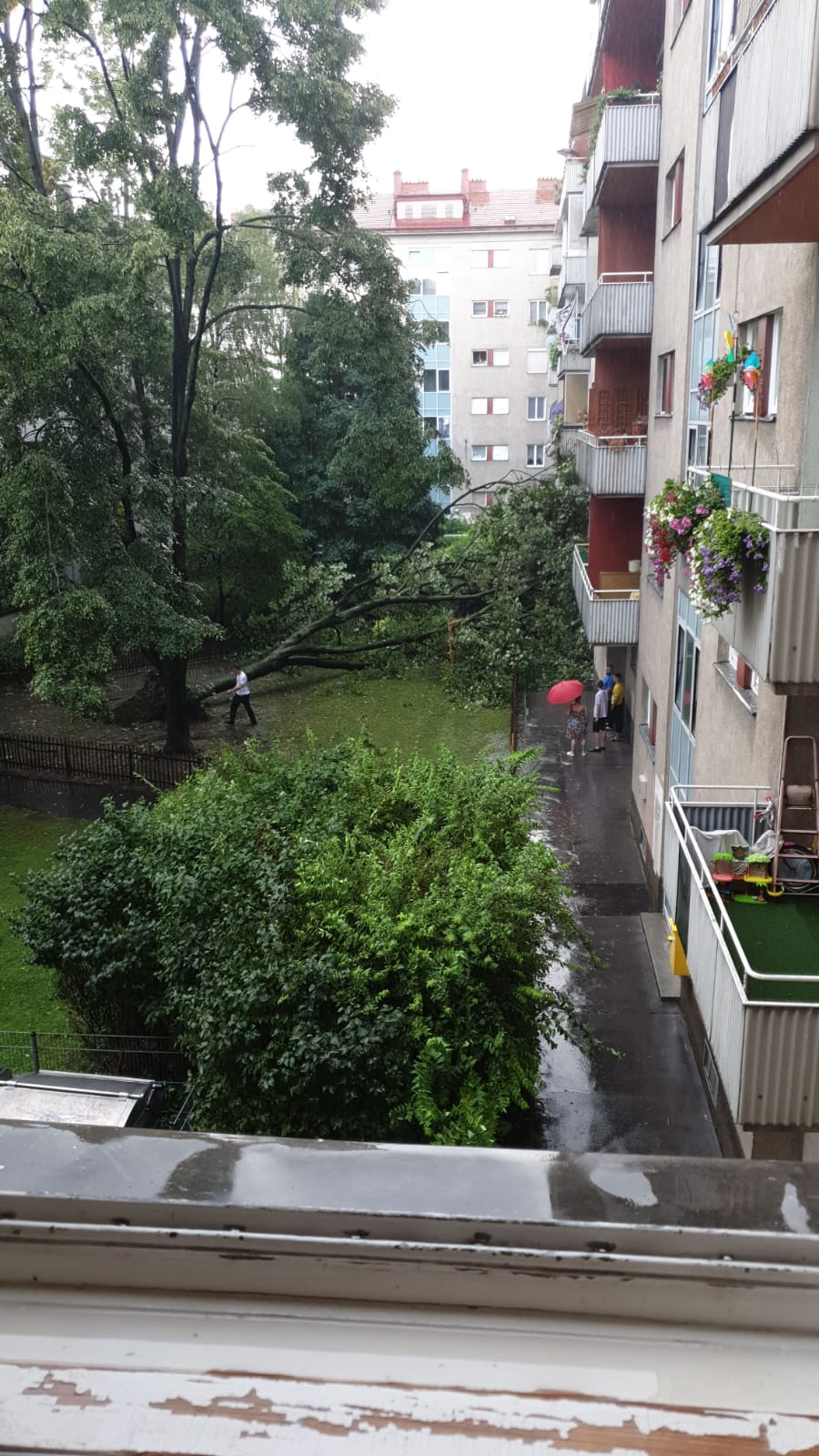 Der Baum wurde durch die Sturmböen umgerissen und krachte in die Balkone eines Wohnhauses in der Brigittenau.