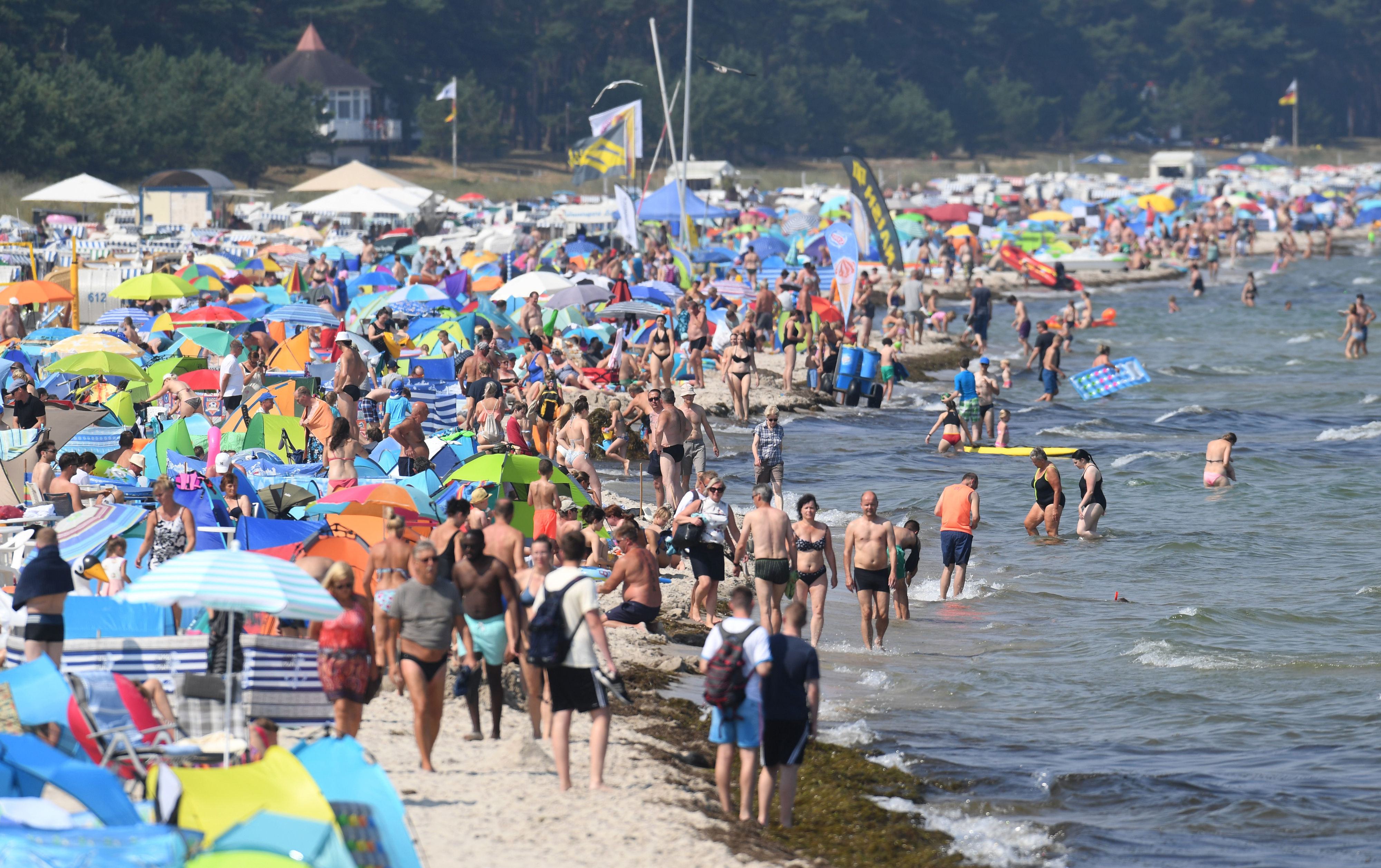 WHO meldet Rekord bei Neuinfektionen