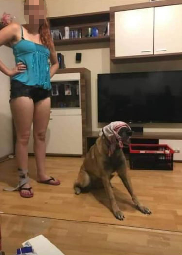 Hündin Coco wird auf dem Video misshandelt.&nbsp;