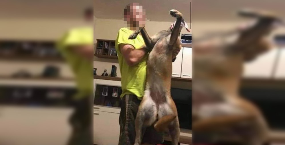 Die Aufnahmen sorgen für Entsetzen.