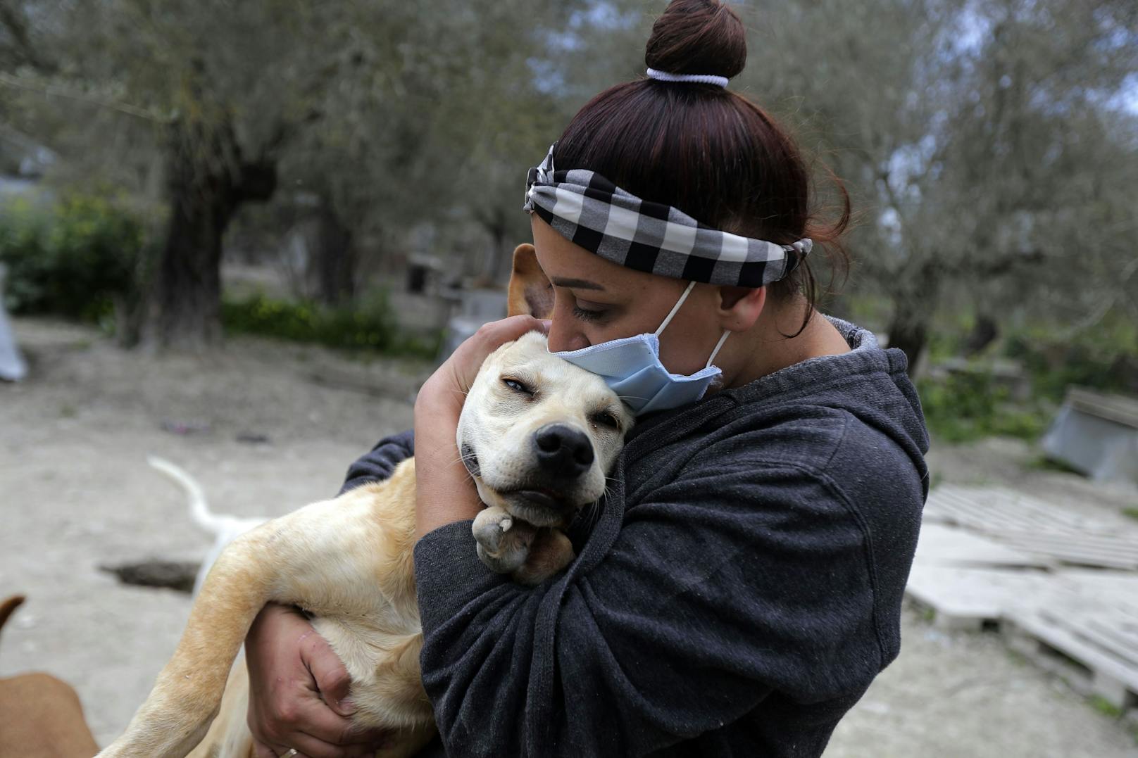 Tränenreiches Wiedersehen mit Haustieren in Beirut