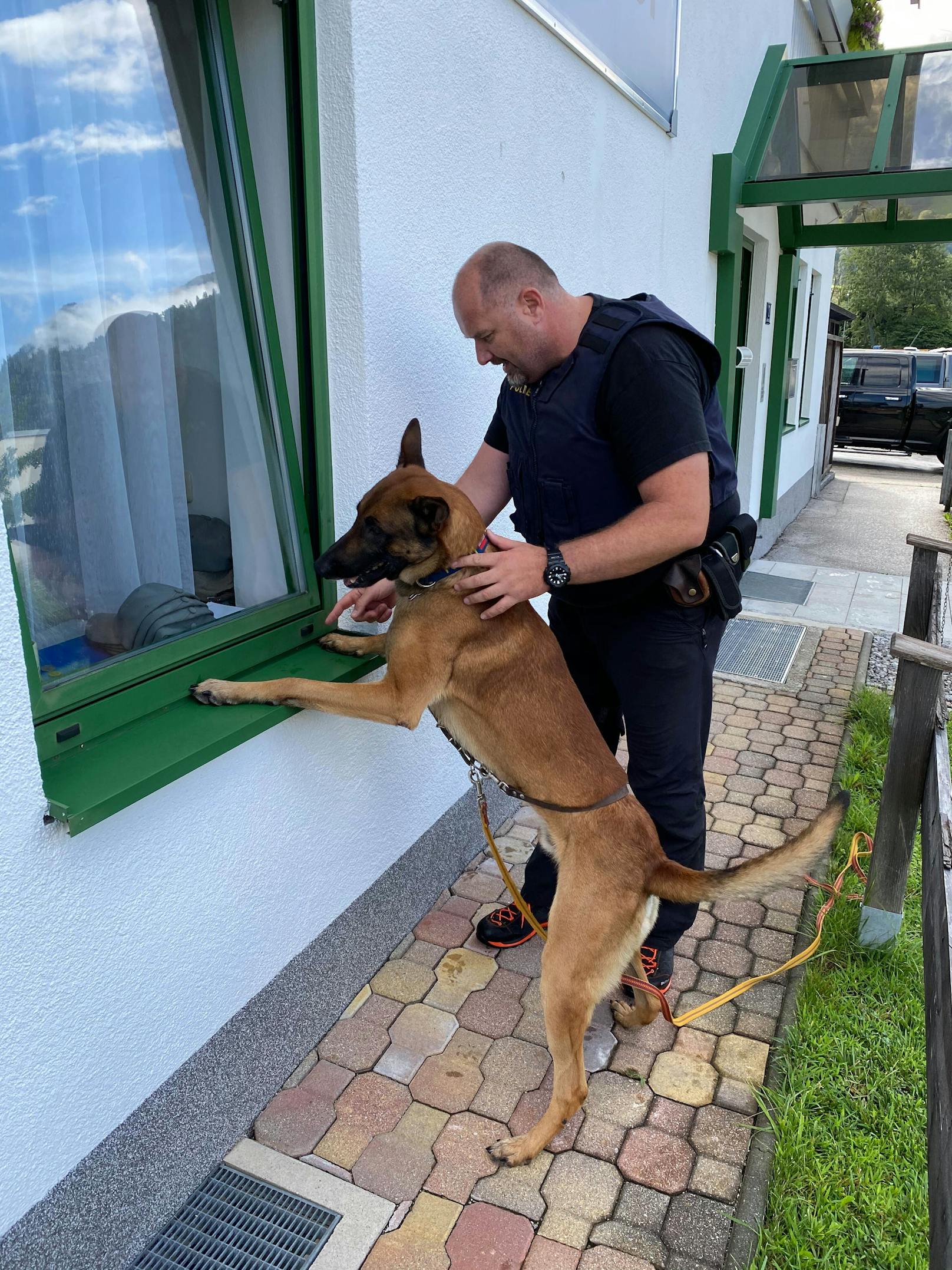 Nicht lange konnte sich ein Einbrecher in Tirol über seine Beute freuen. Zwar entkam er erst unerkannt, doch Polizeihund "Eco" nahm seine Spur auf.