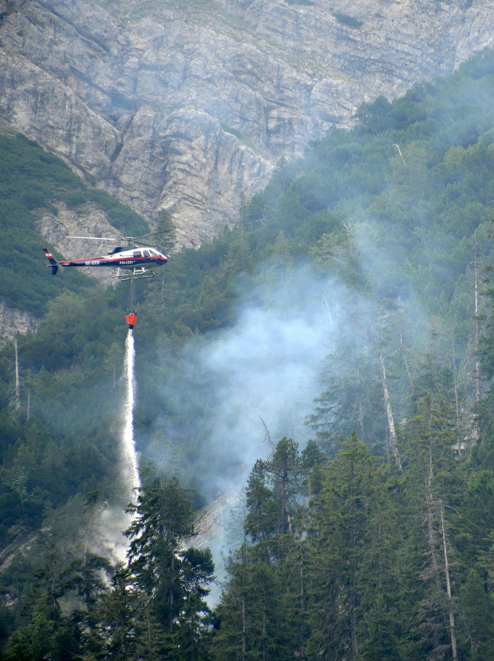 Der Waldbrand konnte mit vereinten Kräften gelöscht werden.