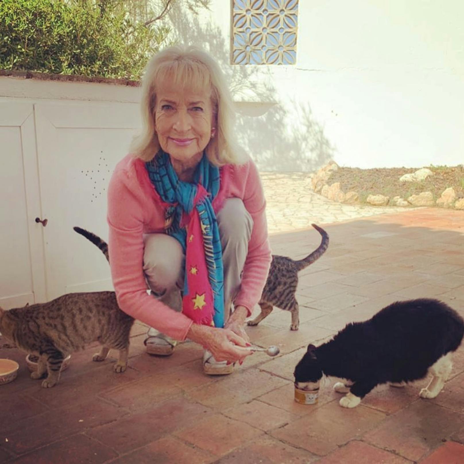 In Portugal versorgt Koller vier herzige Katzen zu denen sie jetzt zurückkehrt.