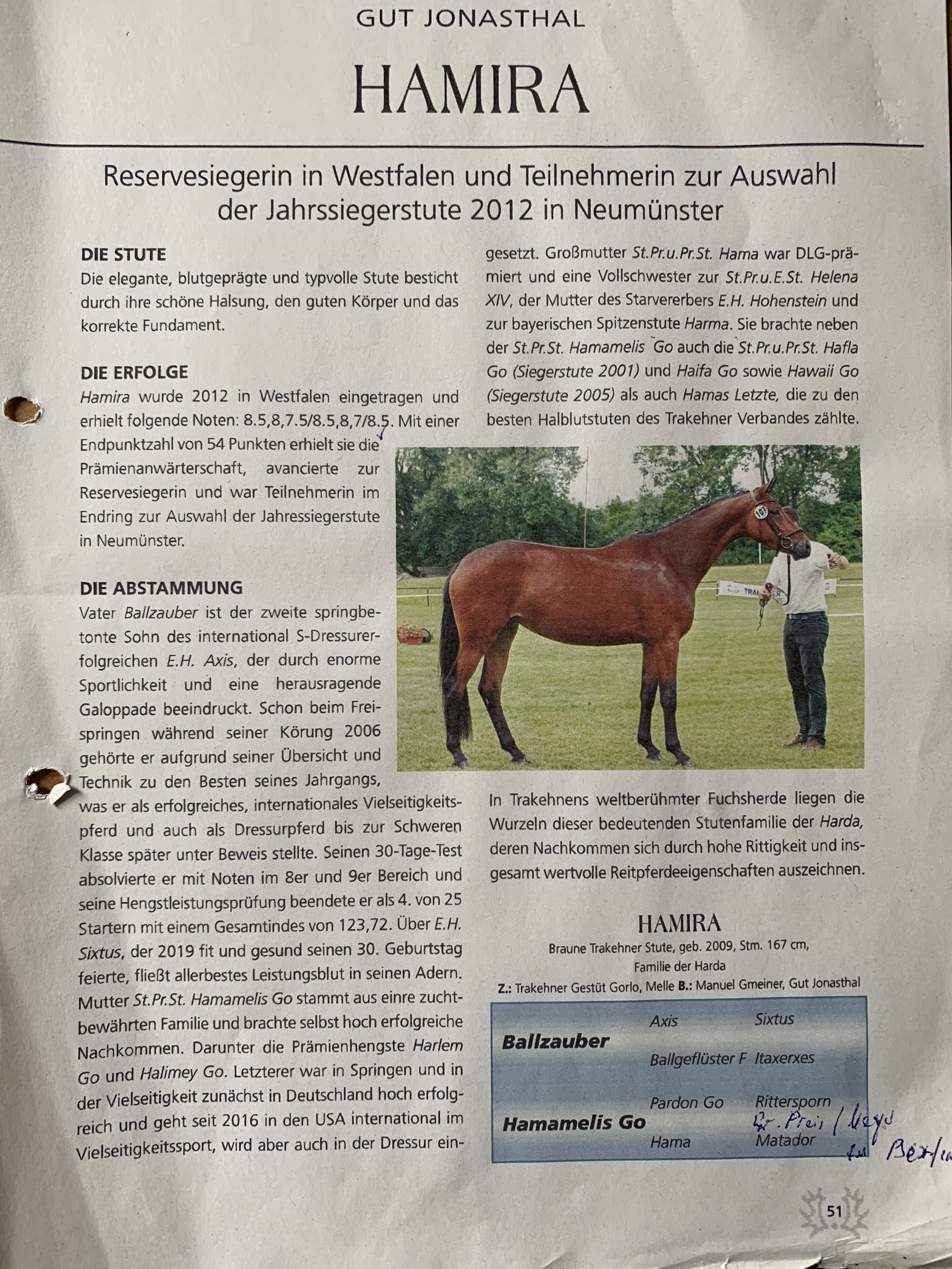 Diese stolze Stute sollte für 35.000 Euro Besitzer wechseln.