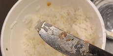 Ekel-Alarm! Lokalgast in Wien fand Made im Reis