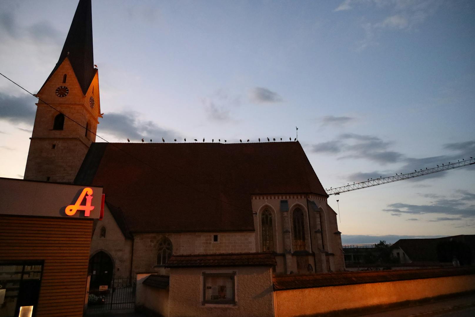 Rund 50 Störche machten es sich auf dem Kirchendach und einem daneben stehenden Kran gemütlich.