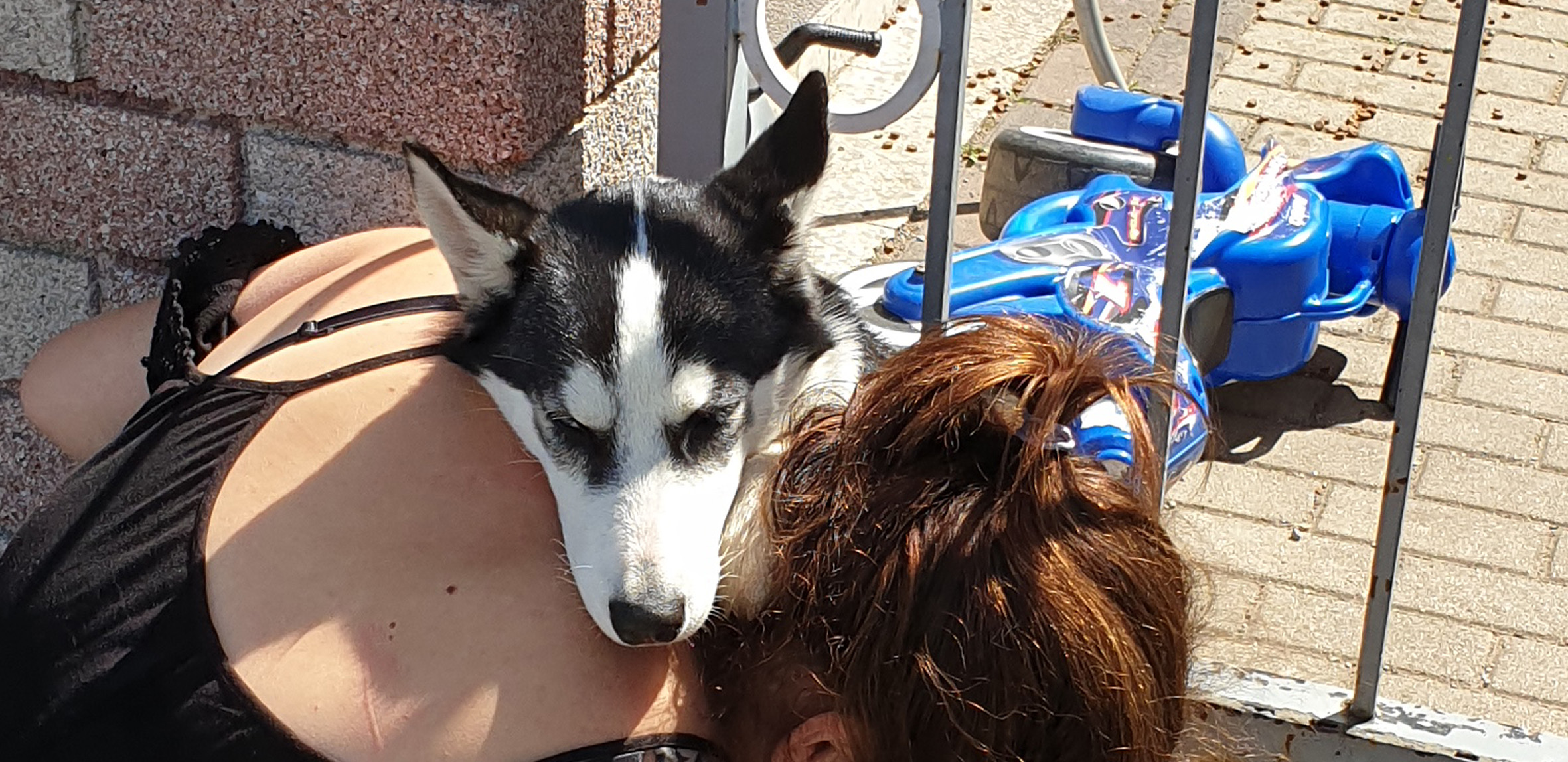 Huskyweibchen Luna mit ihrer Besitzerin.