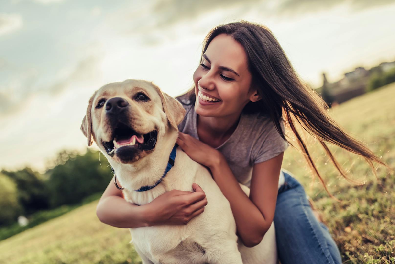 Eine neue Studie widerlegt die Faustregel, dass Hunde sieben Mal so schnell altern wie Menschen.