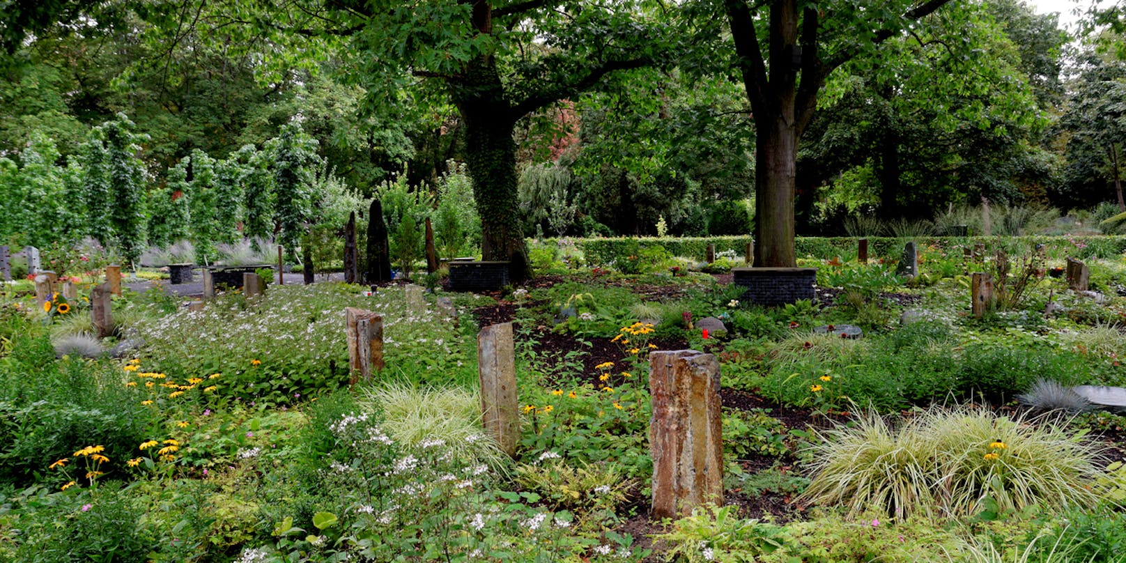 Zwei Jugendliche sind auf einem Friedhof sexuell missbraucht worden.