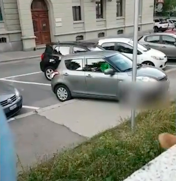 Video zeigt minutenlanges Auspark-Desaster.