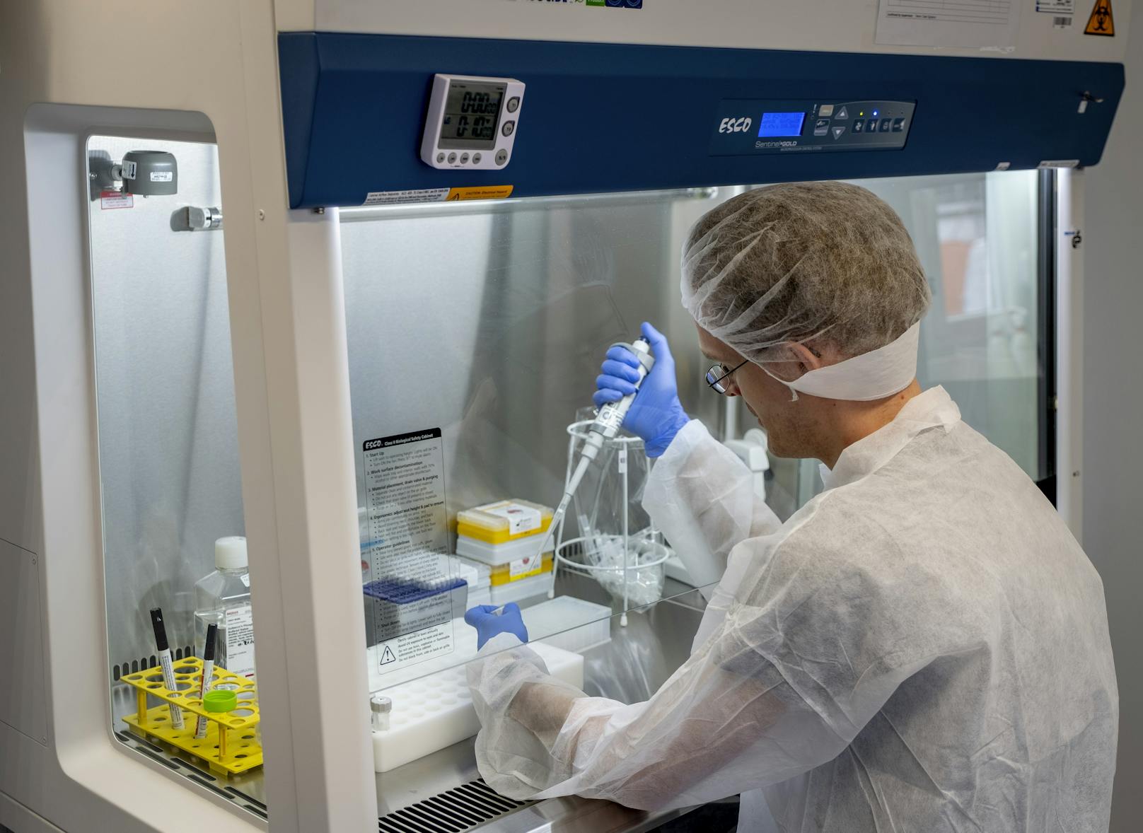Forscher suchen mit Hochdruck nach schnelleren und billigeren Alternativen zum PCR-Test.