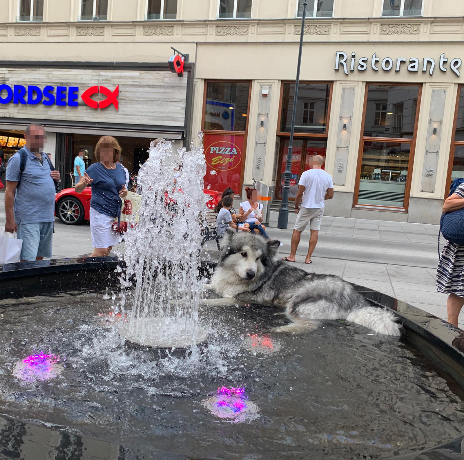 Abkühlung in der Wiener City