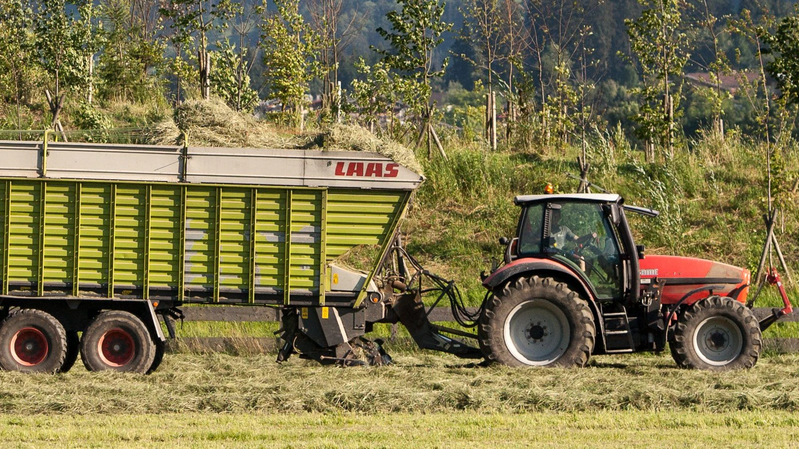 Agrar, Anbau, Austria, Ballen, Bauer, Bauern, Bulldog, Ernte, Ernten, Featurebild, Feld, Getreide, Heu, Heuballen, Heuernte, Heupresse, Heupressen, IGC, Internationale Getreiderat, Landwirt, Landwirtschaft, Mais, Meis, Preis, Raps, Region, Rohstoff, Rundballen, Schwarzwald, Stroh, Symbolbild, Themenbild, Traktor, Trockenheit, Weizen, Weizenernte, Weizenfeld, Weizenpreis, Wetter, Wiese, Éhren, Éhre