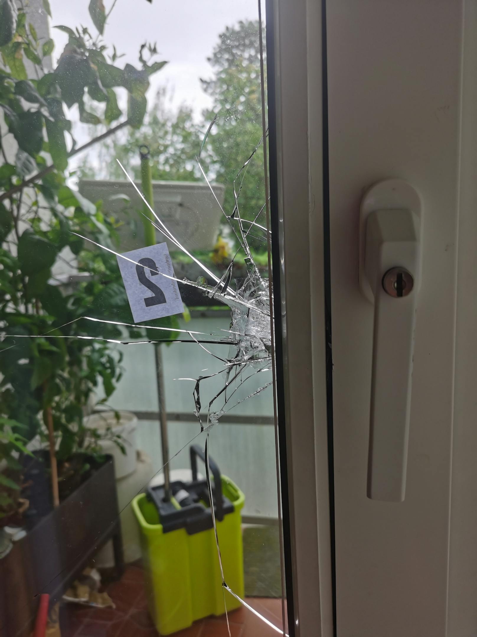 Der Einbrecher (20) versuchte, über die balkontür bei der Familie W. in Wien-Hietzing einzusteigen. Schaden: 900 Euro.