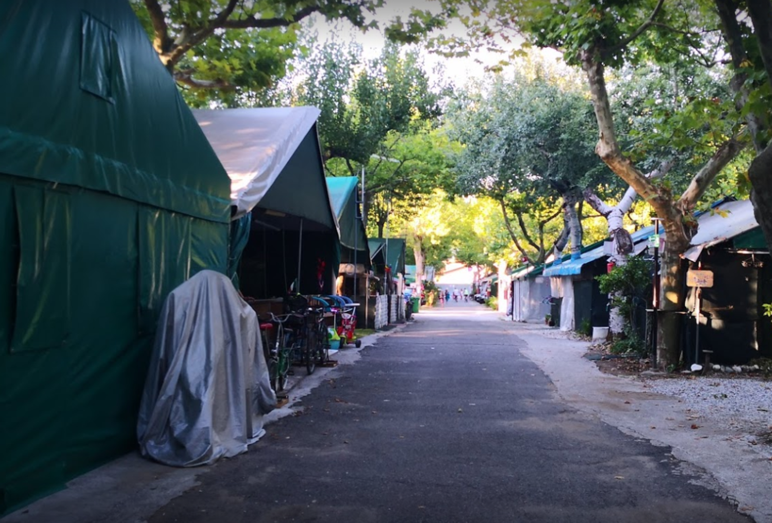 Auf einem Campingplatz in Italien wurden zwei Mädchen von einem umstürzenden Baum erschlagen.