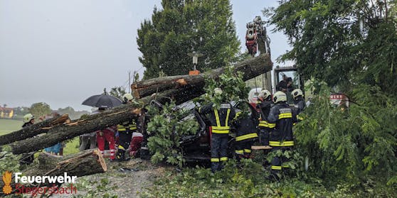 Im Bezirk Güssing ist in Folge des heftigen Unwetters ein Baum auf einen Kleinbus gestürzt.