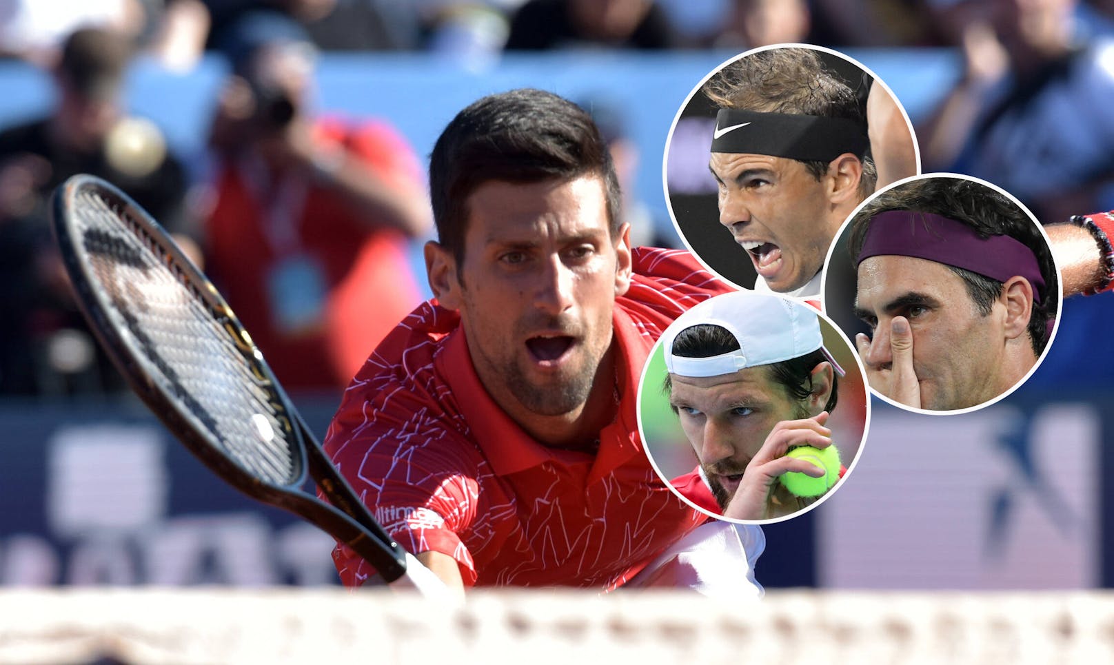 Tennis-Streit: Federer, Nadal und Melzer gegen Djokovic