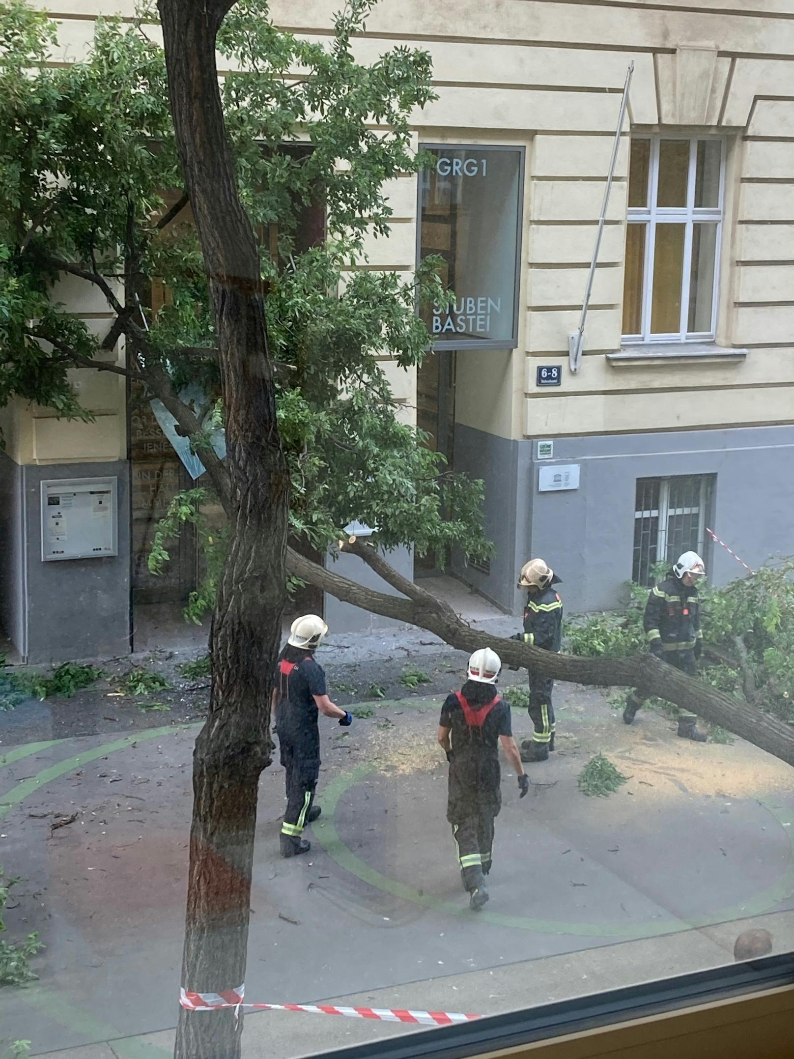 Offenbar aufgrund heftiger Sturmböen krachte ein Baum auf den Eingang des Gymnasiums Stubenbastei in der Wiener Innenstadt. Verletzt wurde zum Glück niemand.