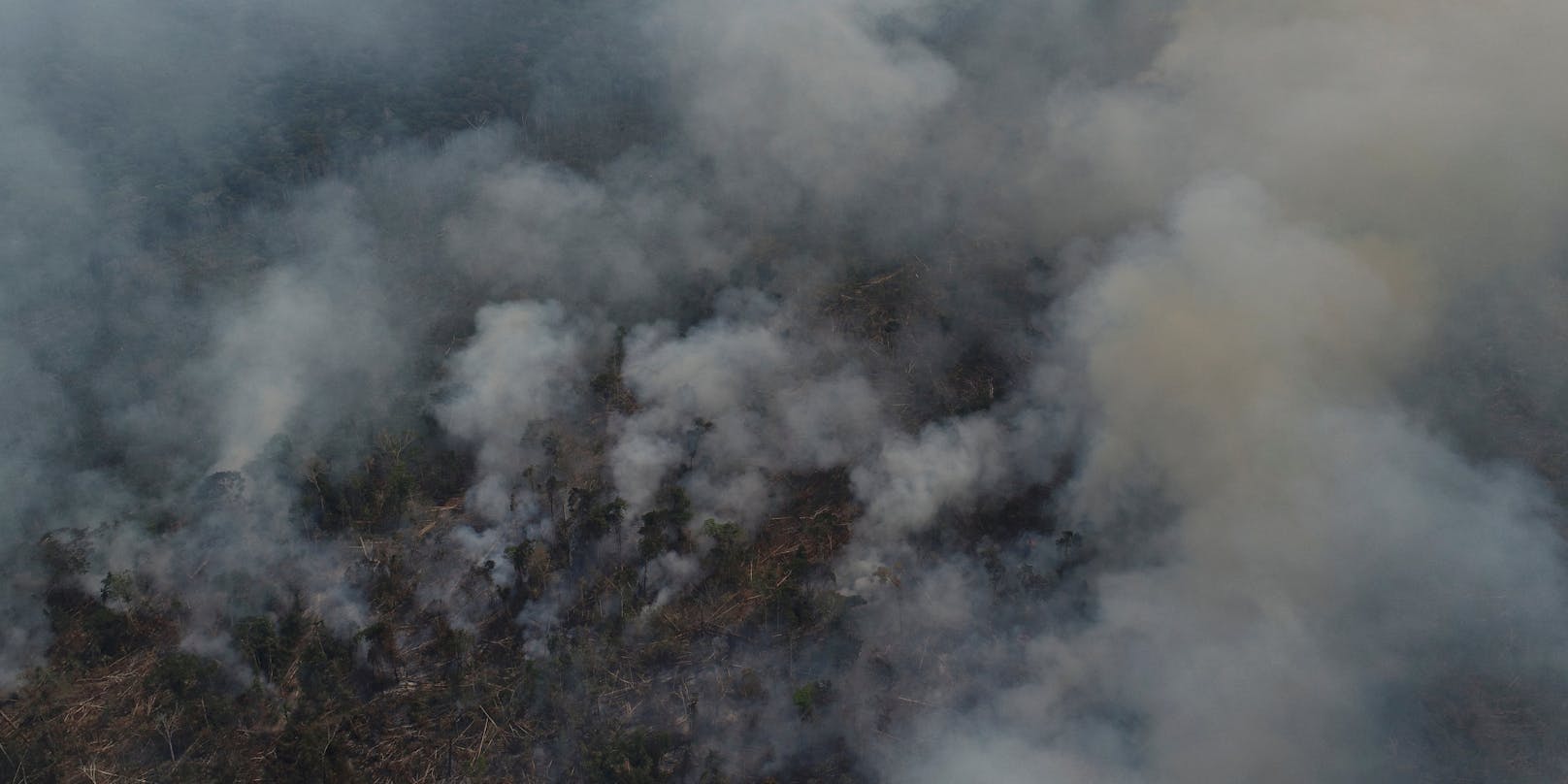 Der regenwald brennt, wie schon lange nicht mehr, wie etwa hier in Brasilien.