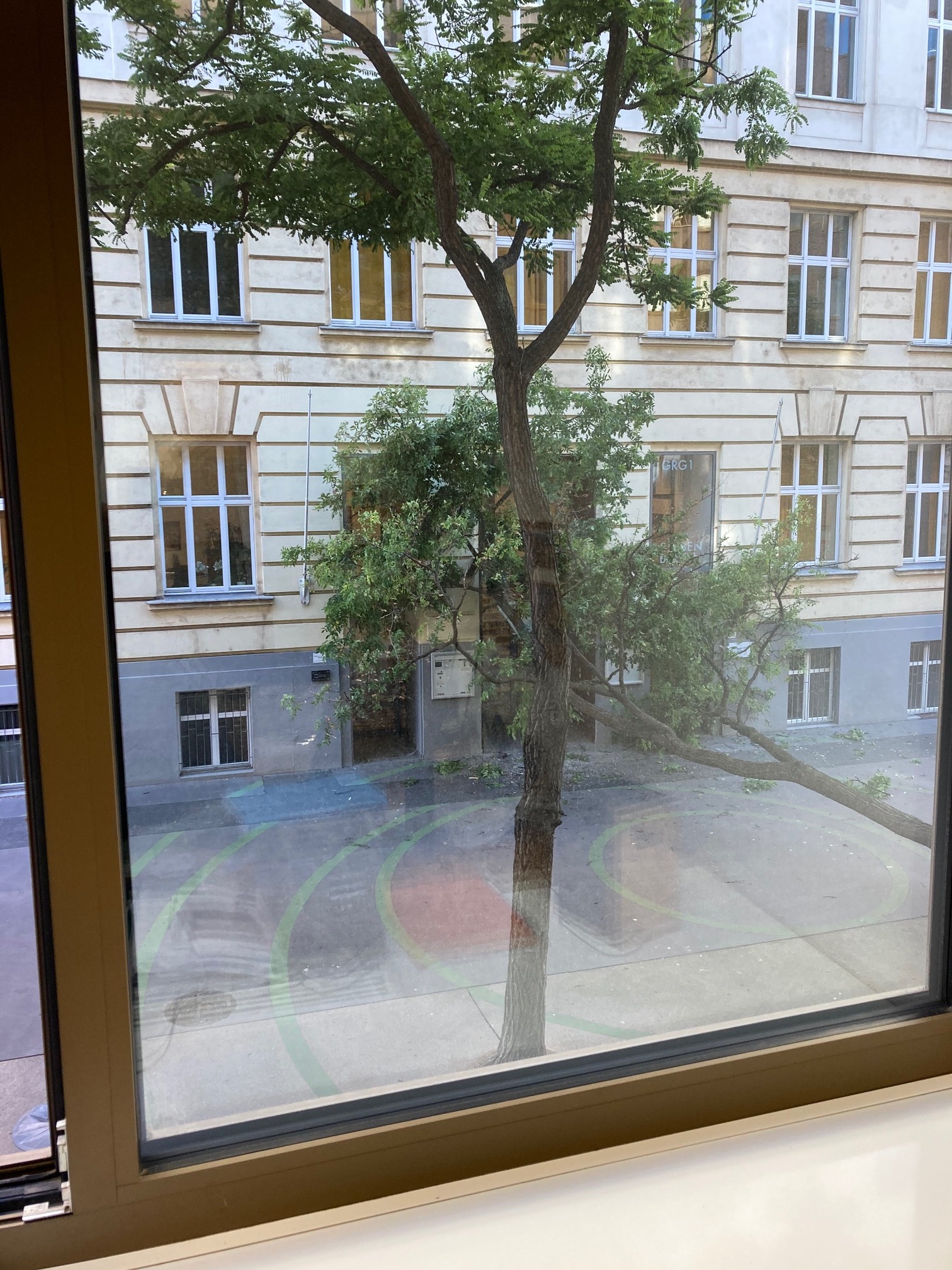 Offenbar aufgrund heftiger Sturmböen krachte ein Baum auf den Eingang des Gymnasiums Stubenbastei in der Wiener Innenstadt.&nbsp;