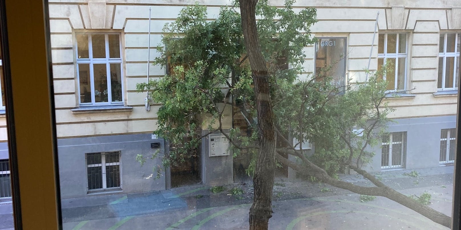 Offenbar aufgrund heftiger Sturmböen krachte ein Baum auf den Eingang des Gymnasiums Stubenbastei in der Wiener Innenstadt.&nbsp;