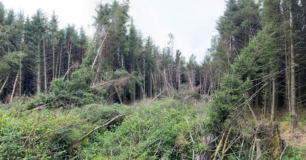 Ben Landricombe ist sich sicher: Hier sind Außerirdische abgestürzt.