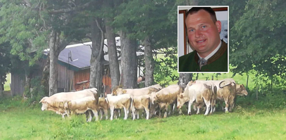 Landwirt Stefan Tröstl und die verschreckte Kuhherde. 