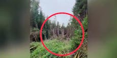 Unheimliches Video: UFO-Absturzstelle im Wald entdeckt?