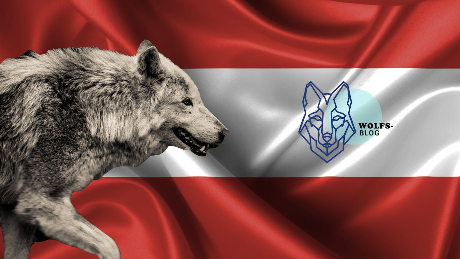 Wolfsblog - Wie geht es dem Wolf in Österreich?