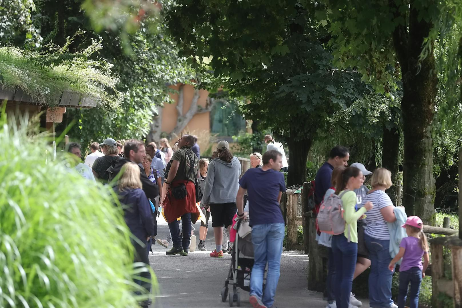 Der Tiergarten Hellbrunn lockte am Mittwoch zahlreiche Besucher an.