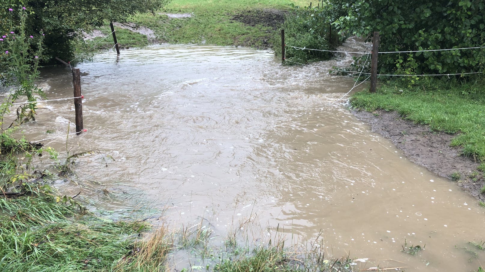 Der kleine Bach auf dem Gelände wurde zu einem Fluss.