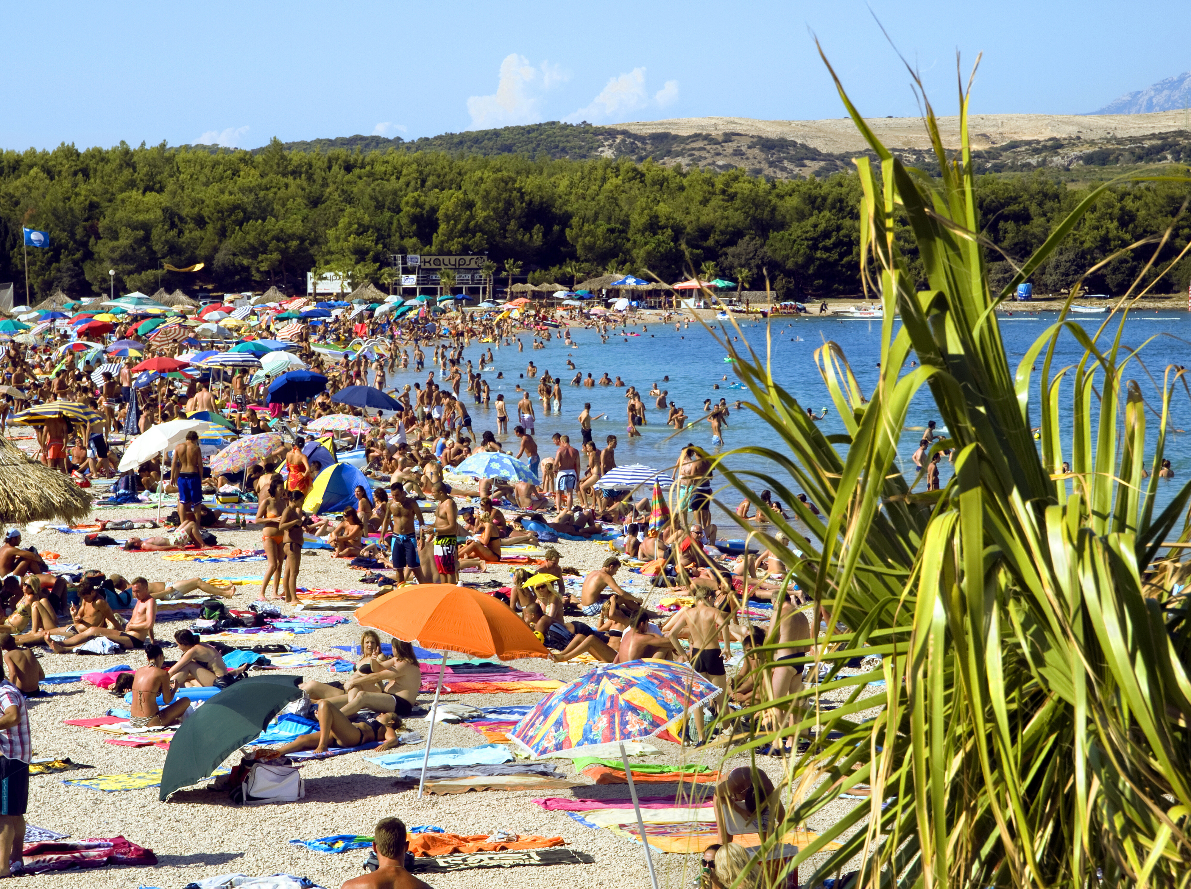 Die Österreicher dürften sich auf der Insel Pag angesteckt haben.