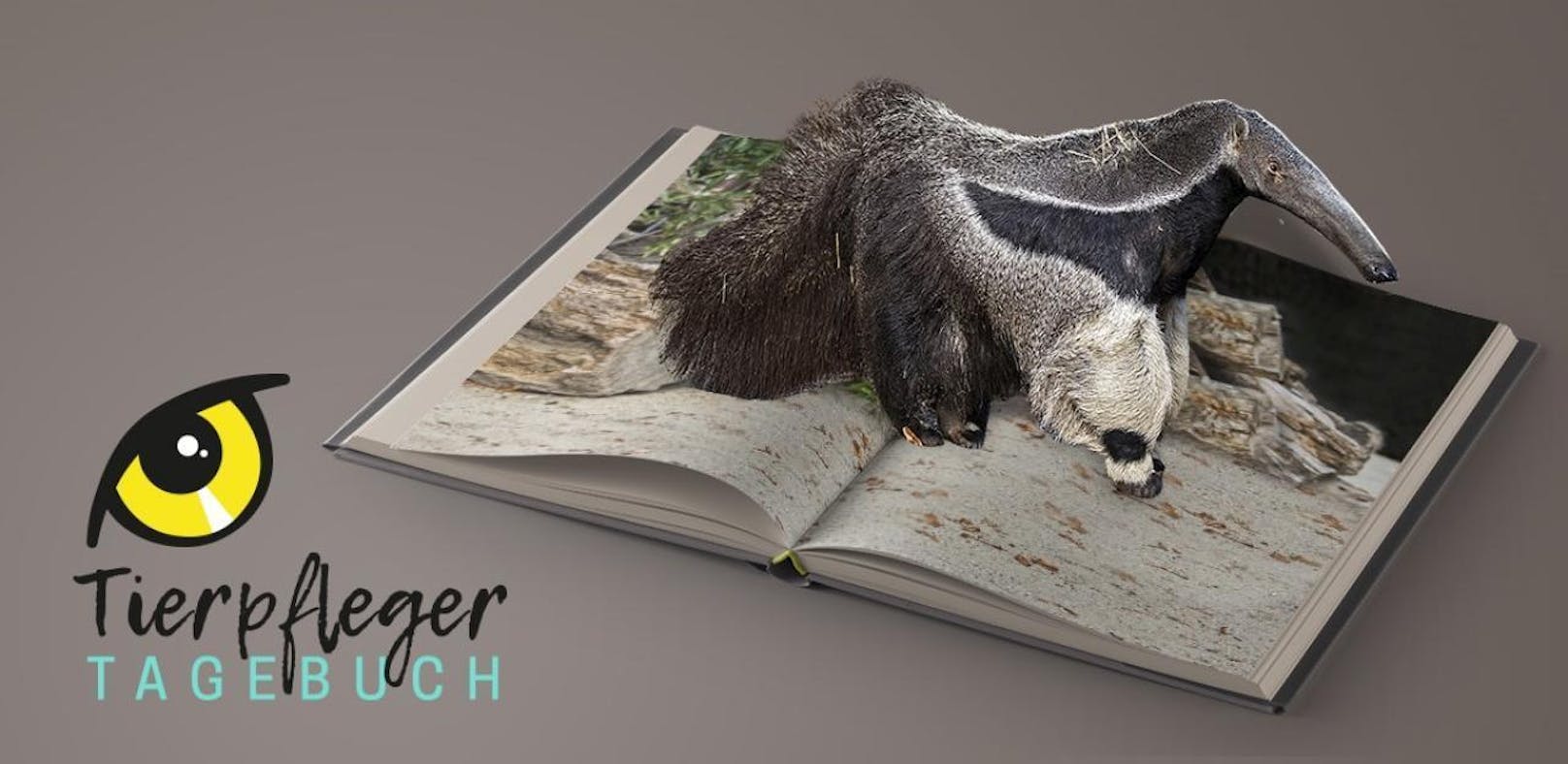 Tierpfleger-Tagebuch aus dem Zoo Schönbrunn