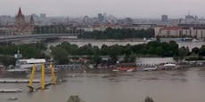 Experte erklärt, was Donau-Hochwasser für Wien bedeutet