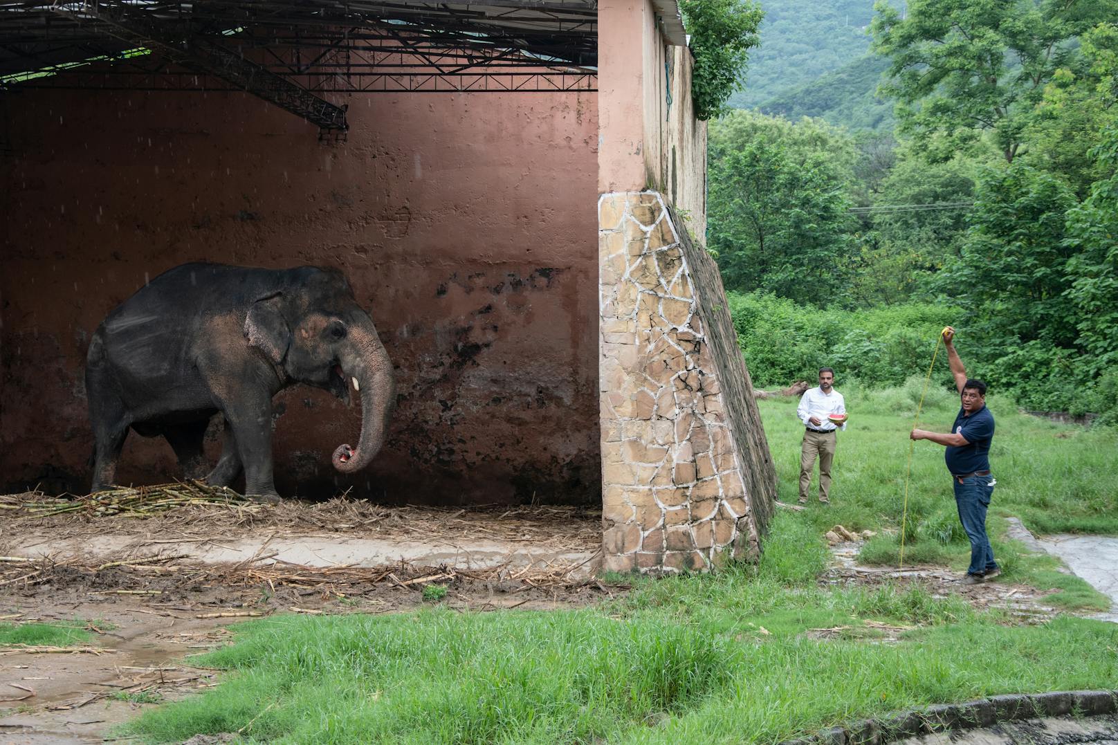 Bereits 2016 war Vier Pfoten das erste Mal vor Ort, vor allem um den Gesundheitszustand des Elefanten Kaavan zu prüfen.
