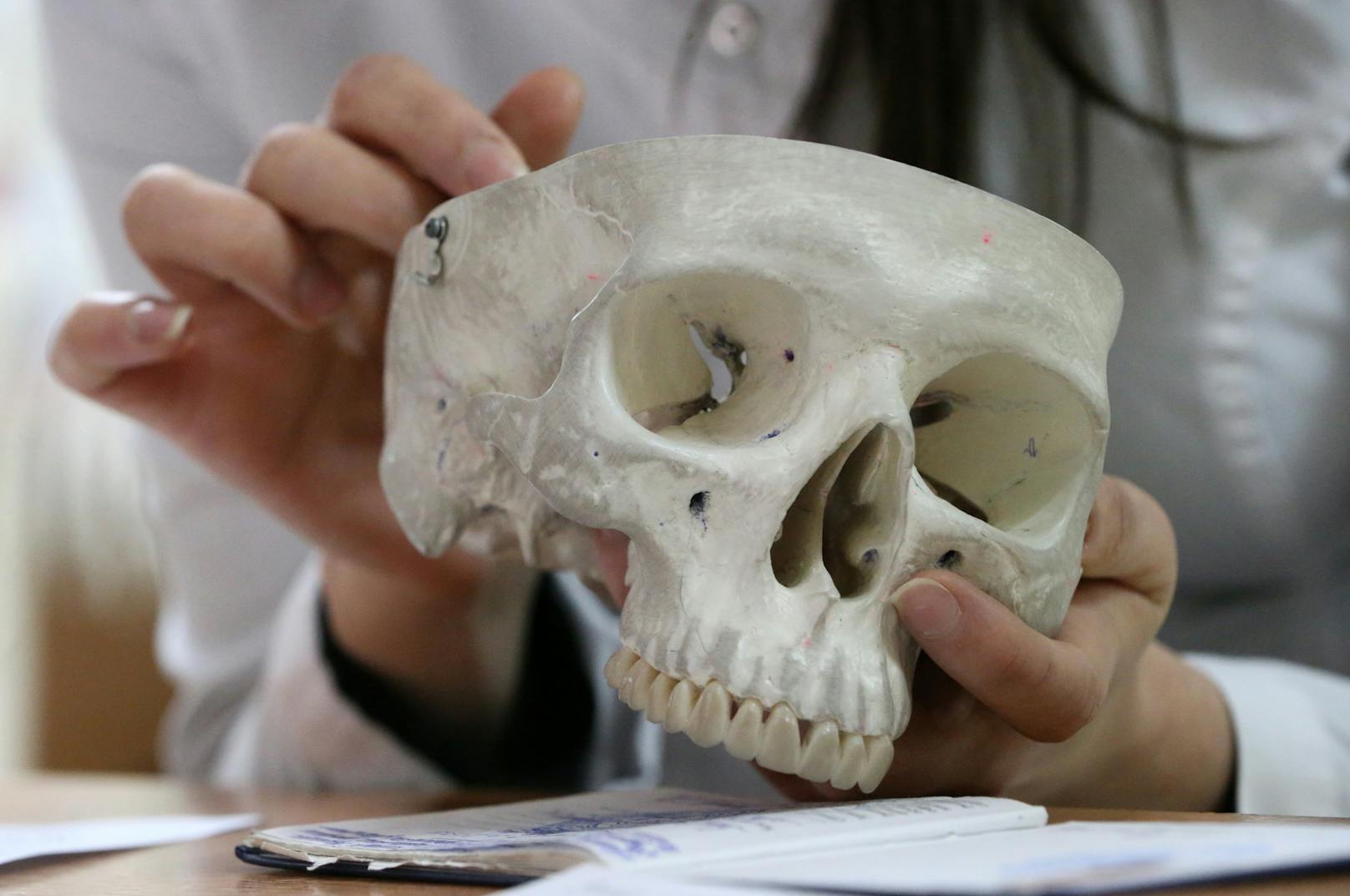 Im Rahmen einer Anatomie-Prüfung an einer russischen Universität wird ein Schädel analysiert. Symbolbild