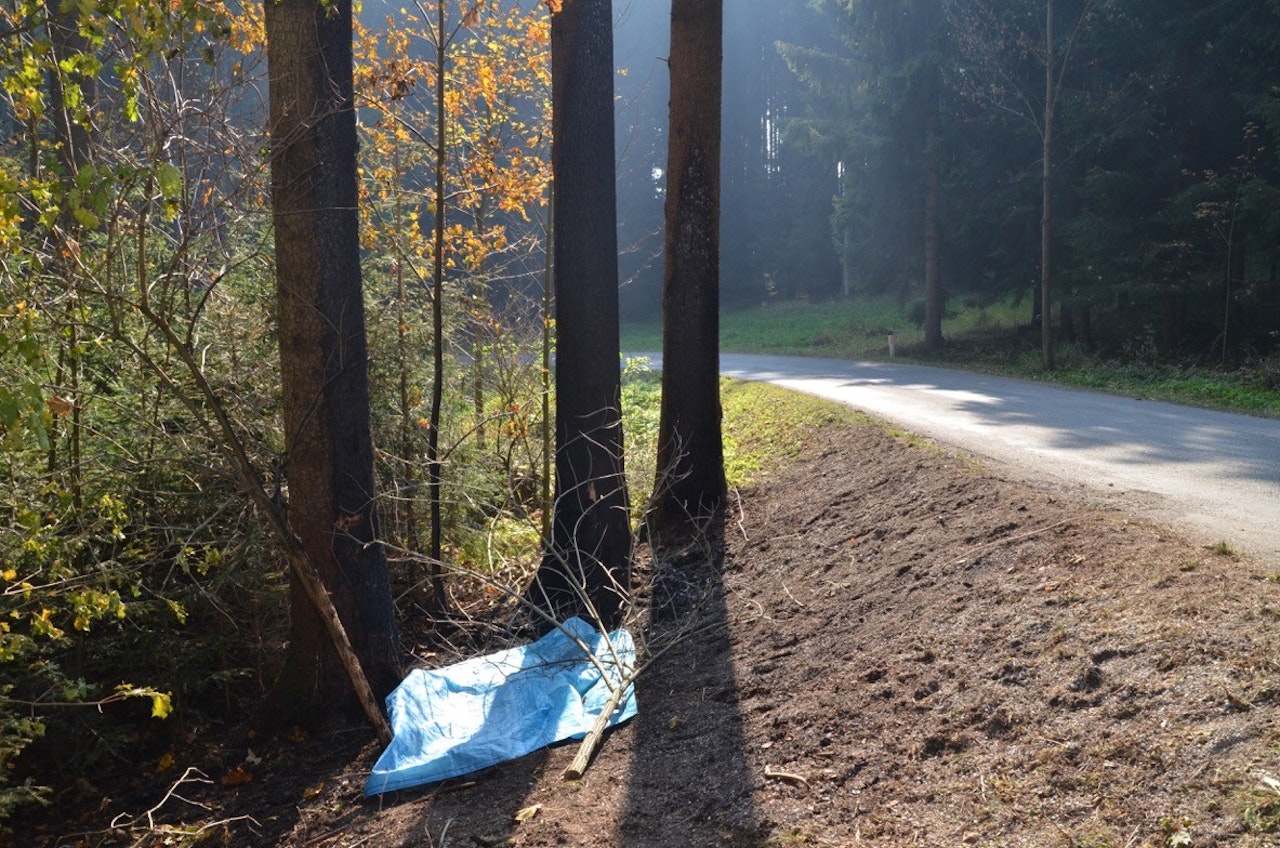 Heute.at - Fahrlässige Tötung von Freundin kostet läppische 120 €