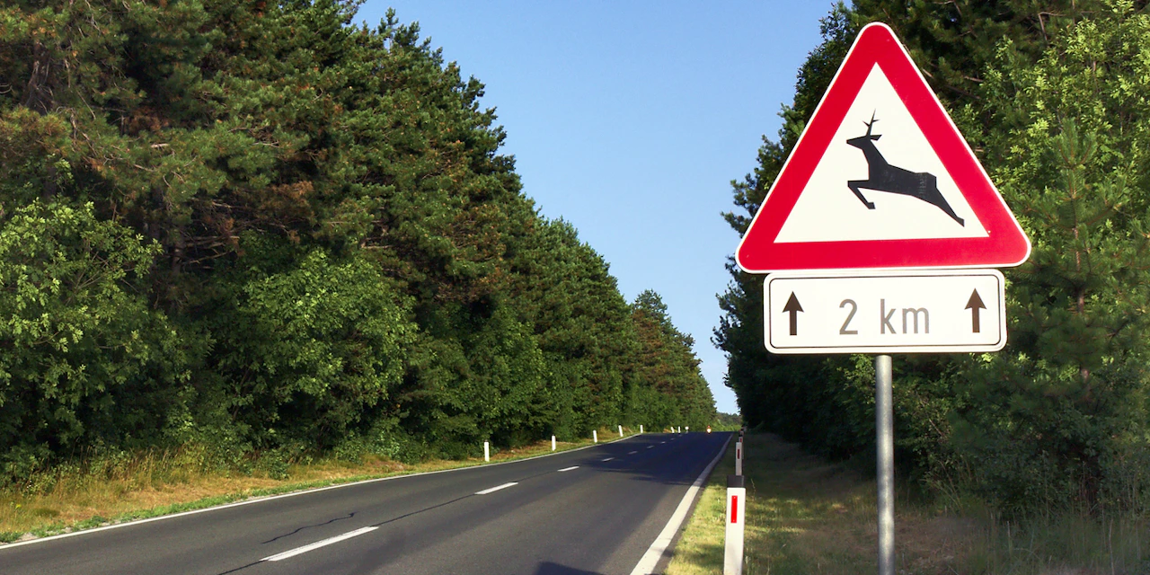 Geblitzt Mit 10 Km Zu Schnell
